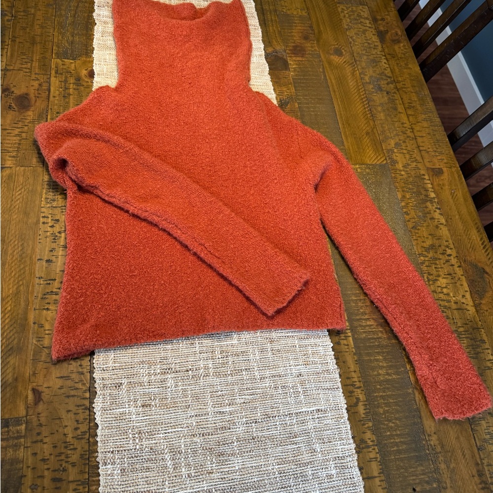 Free People Rust Turtleneck Sweater